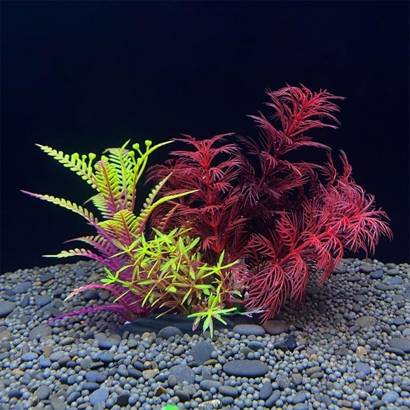Planted Aquarium For Sale - Nhân Tạo Trang Trí Bể Cá