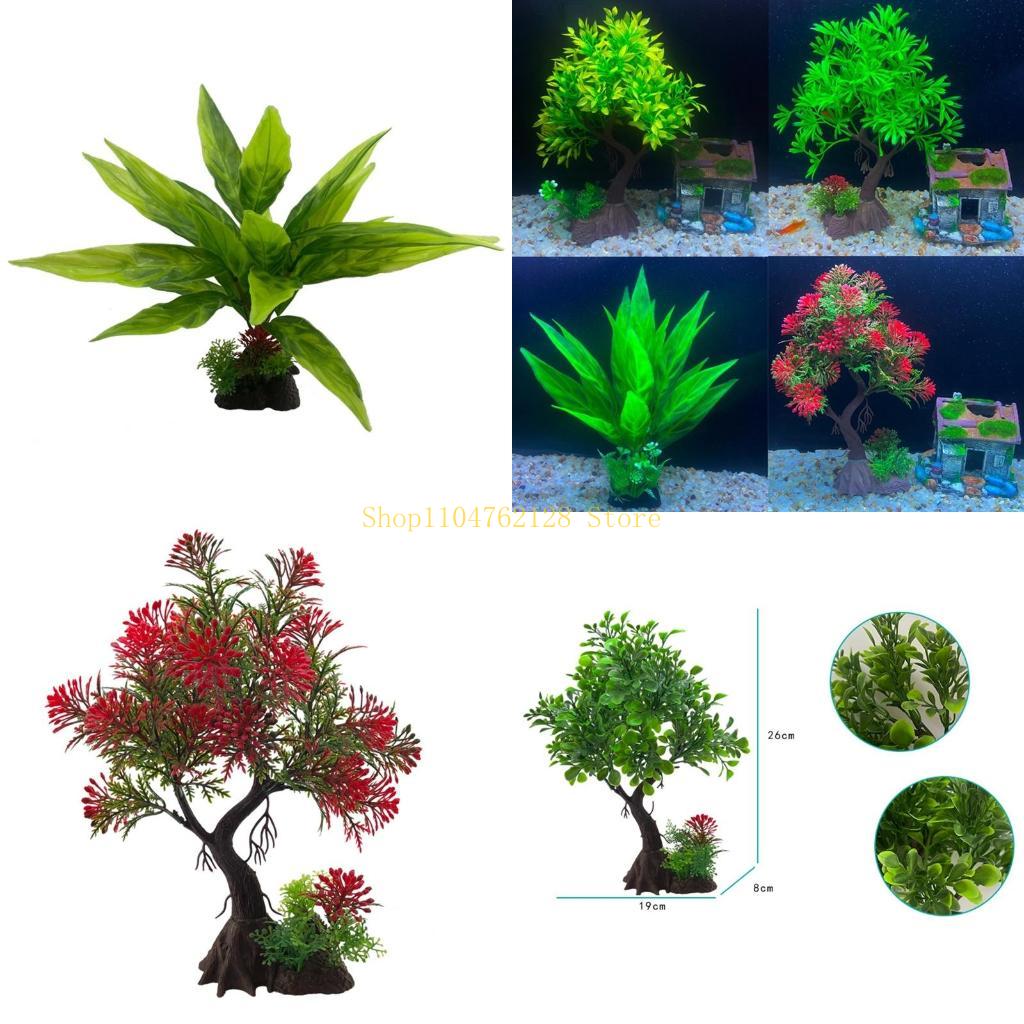 Planted Aquarium For Sale - Bể Cá Thực Vật Thủy Sinh
