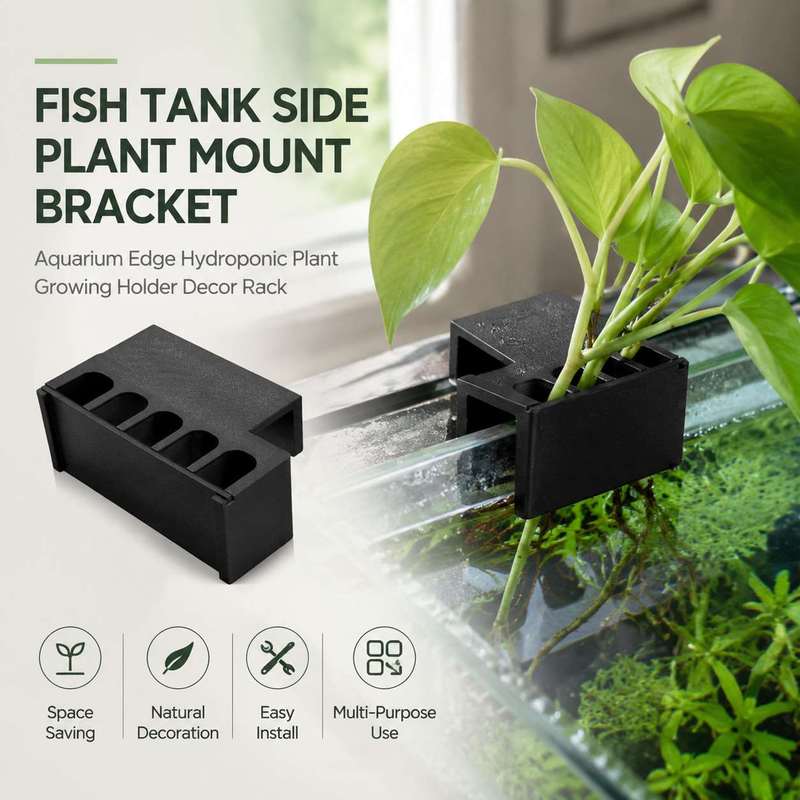Aquarium Plant Holder - Fish Tank Side Plant Mount Bracket