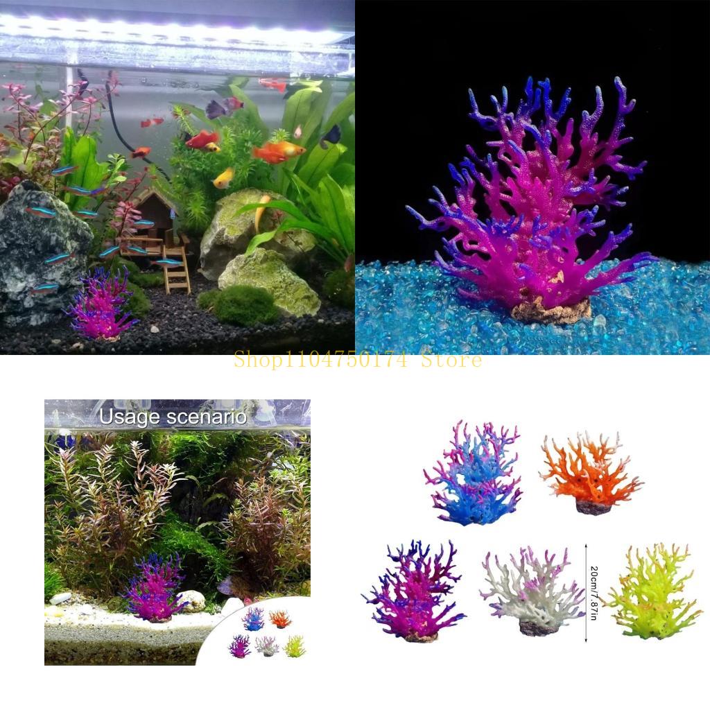 Planted Aquarium For Sale - Cây nhân tạo Cây trang trí