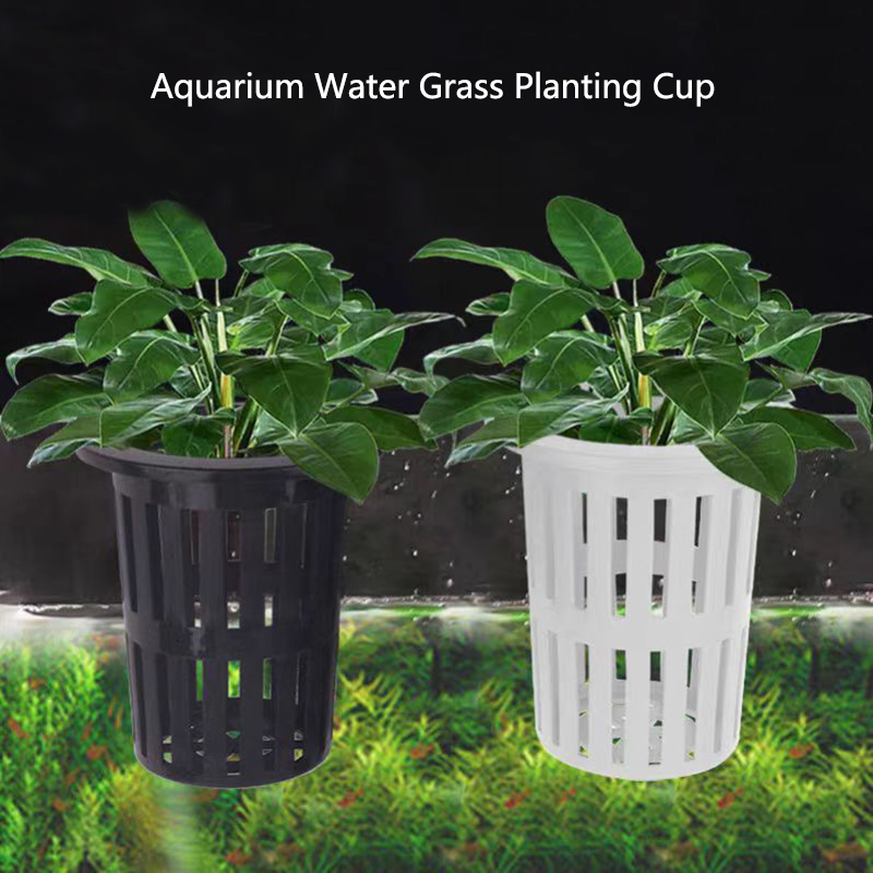 Aquarium Plant Holder - 1/3Pcs Aquarium Plant Basket Wall-Mounted Hydroponic