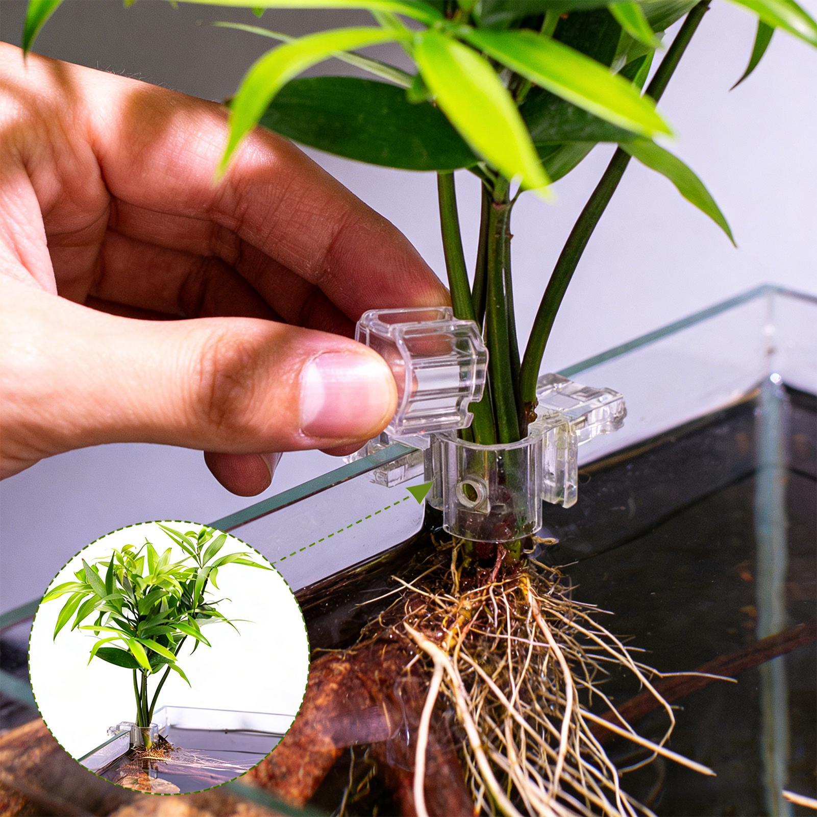 Aquarium Plant Holder - 6pcs Aquarium Plant Holders Clear Planting