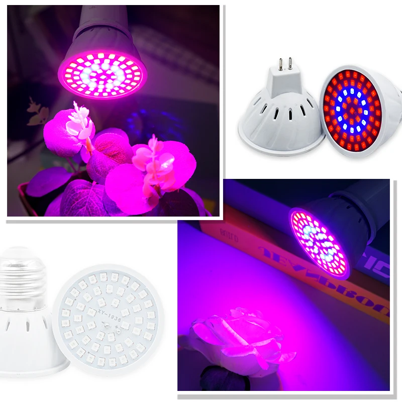 Phyto Lamp Full Spectrum LED G - đánh giá và giá Led Planted Tank Light