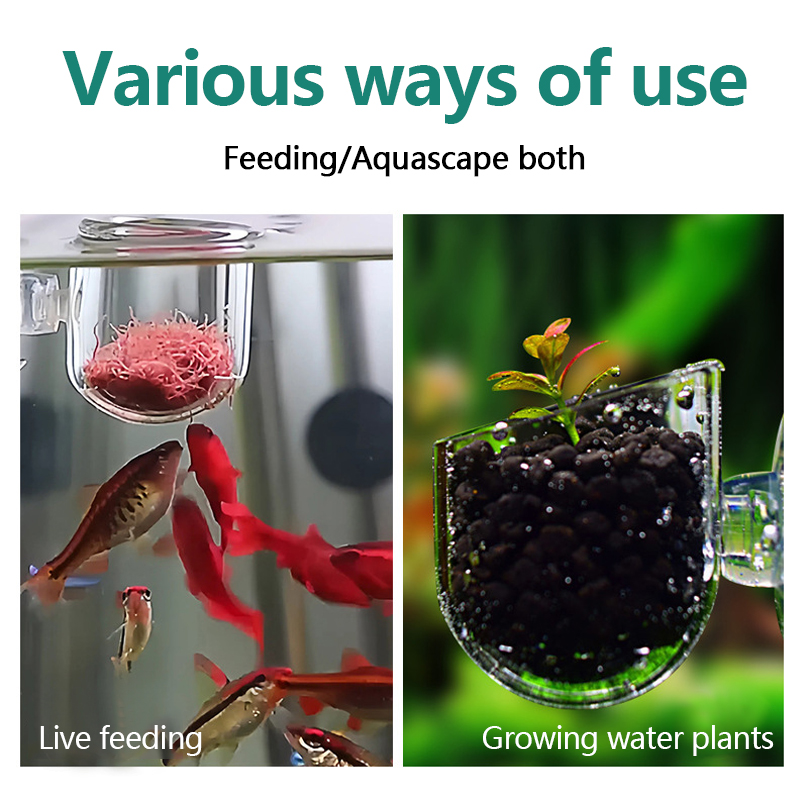 Aquarium Decoration Plant Cup  - đánh giá và giá Aquarium Plant Utensils