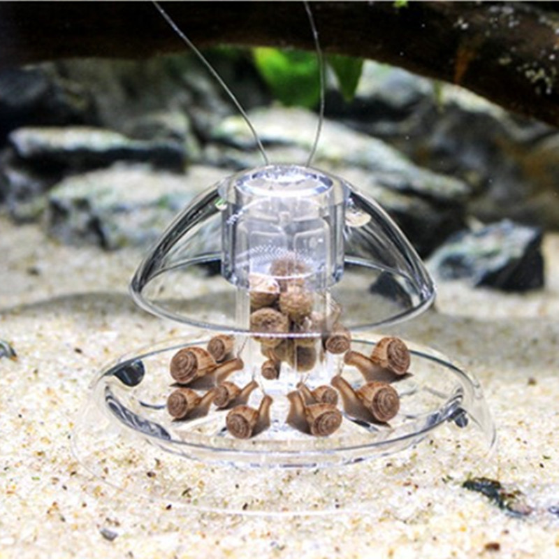 1PCS Fish Tank Aquarium Cleane - đánh giá và giá Aquarium Plant Utensils