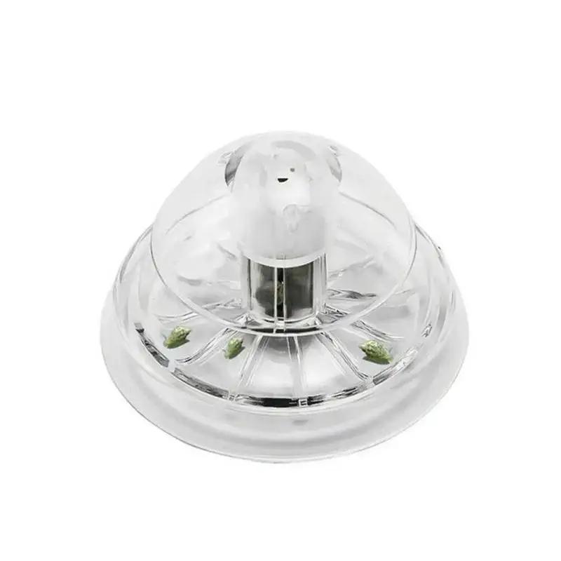 2026 New 6/8CM Clear Plastic S - đánh giá và giá Aquarium Planted Fish