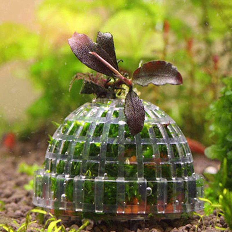 Hot Sale Aquatic Pet Supplies  - đánh giá và giá Planted Aquarium For Sale