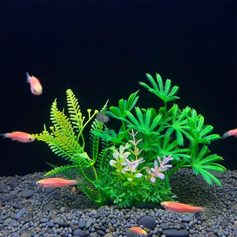 Nhân Tạo Trang Trí Bể Cá Vật C - đánh giá và giá Planted Aquarium For Sale