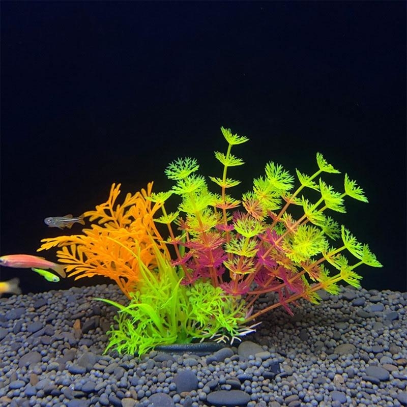 Nhân Tạo Trang Trí Bể Cá Vật C - đánh giá và giá Planted Aquarium For Sale
