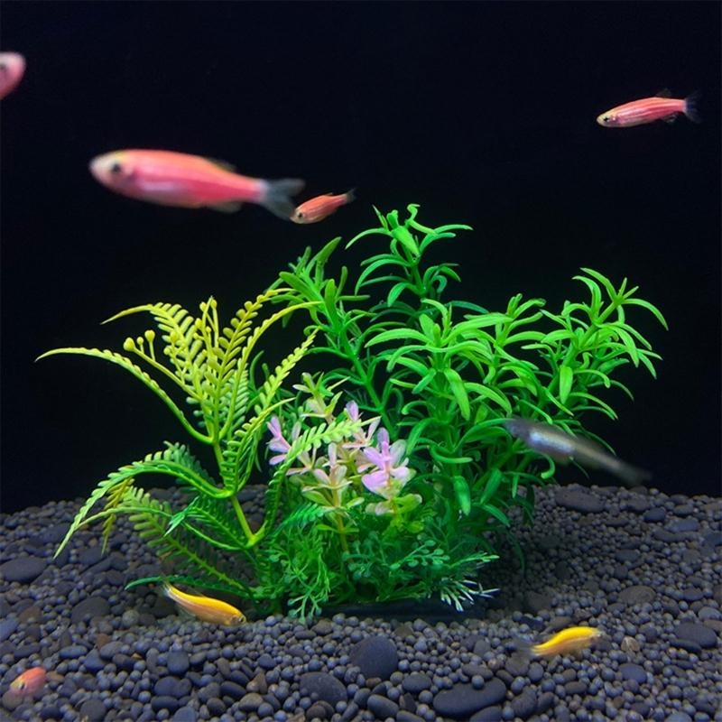 Nhân Tạo Trang Trí Bể Cá Vật C - đánh giá và giá Planted Aquarium For Sale