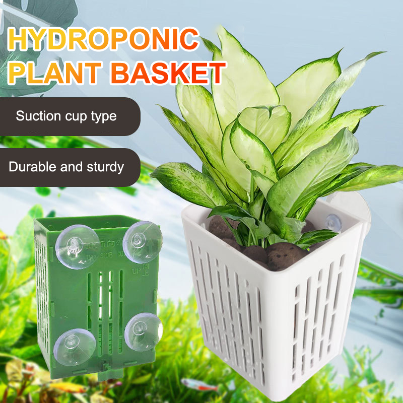 Hanging Suction Cup Hook Aquar - đánh giá và giá Aquarium Plant Holder
