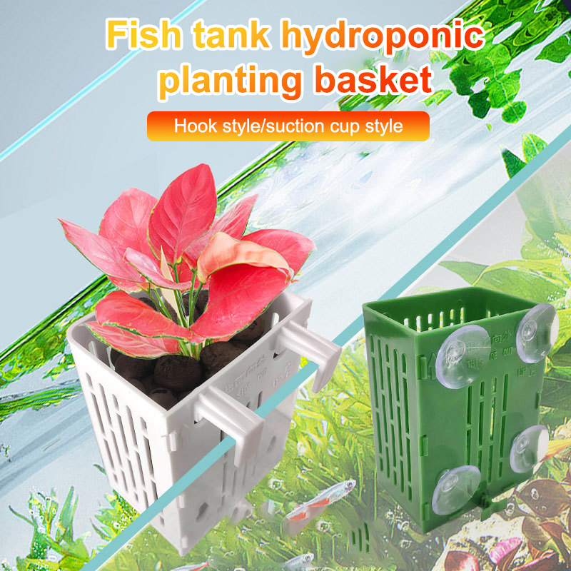 Hanging Suction Cup Hook Aquar - đánh giá và giá Aquarium Plant Holder