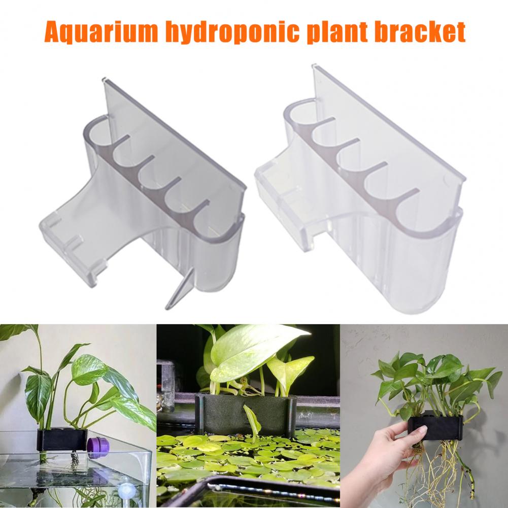 4.5/6.5cm Aquarium Plant Holde - đánh giá và giá Aquarium Plant Holder
