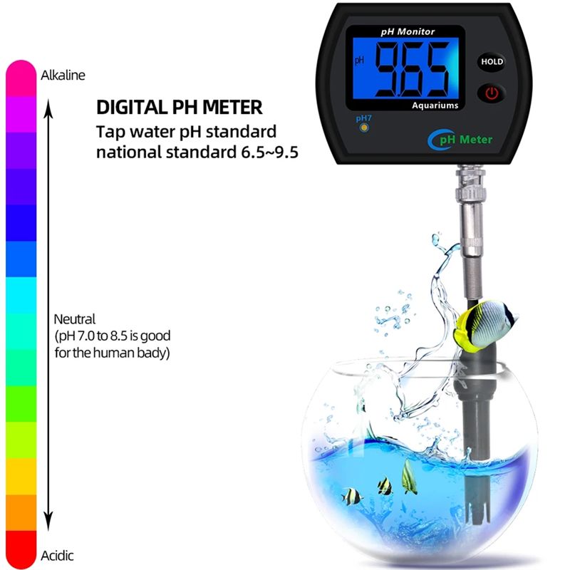 M12K-PH Meter Online PH Monito - đánh giá và giá Aquarium Plant Lab
