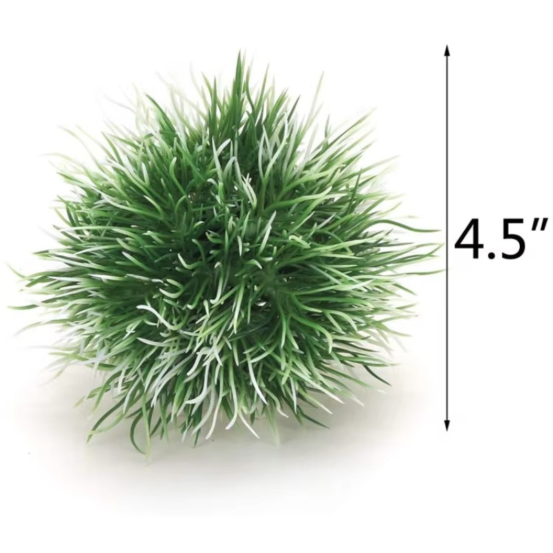 10pcs Hot Selling New Arrival  - đánh giá và giá Planted Aquarium For Sale