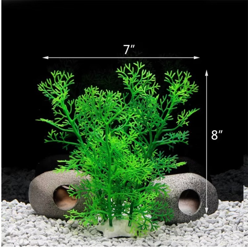 10pcs Hot Selling New Arrival  - đánh giá và giá Planted Aquarium For Sale