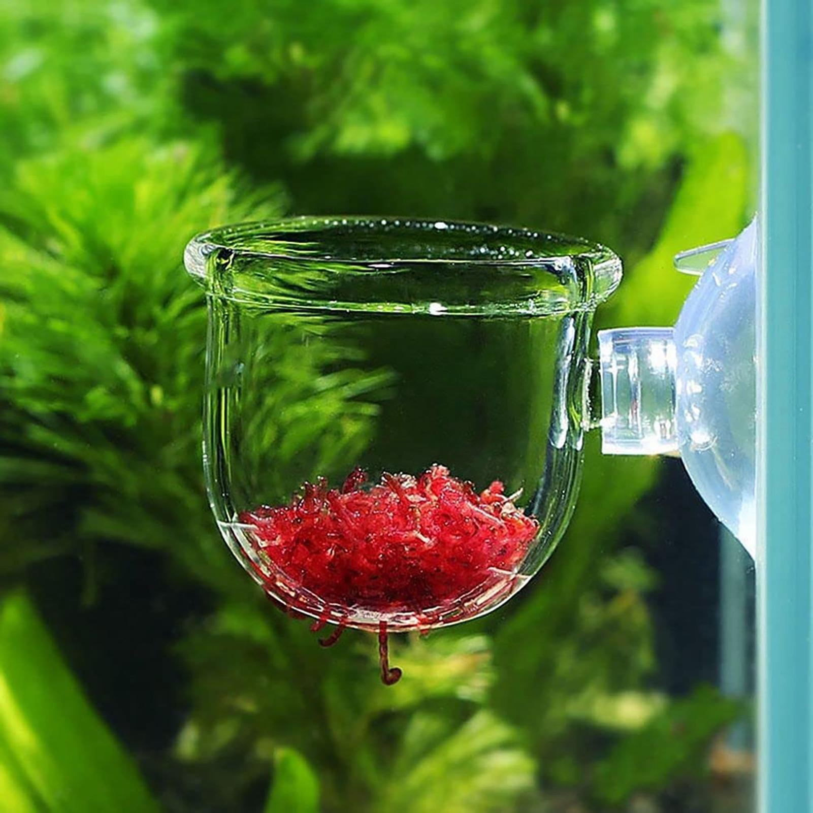Aquarium Decoration Plant Cup  - đánh giá và giá Aquarium Plant Utensils