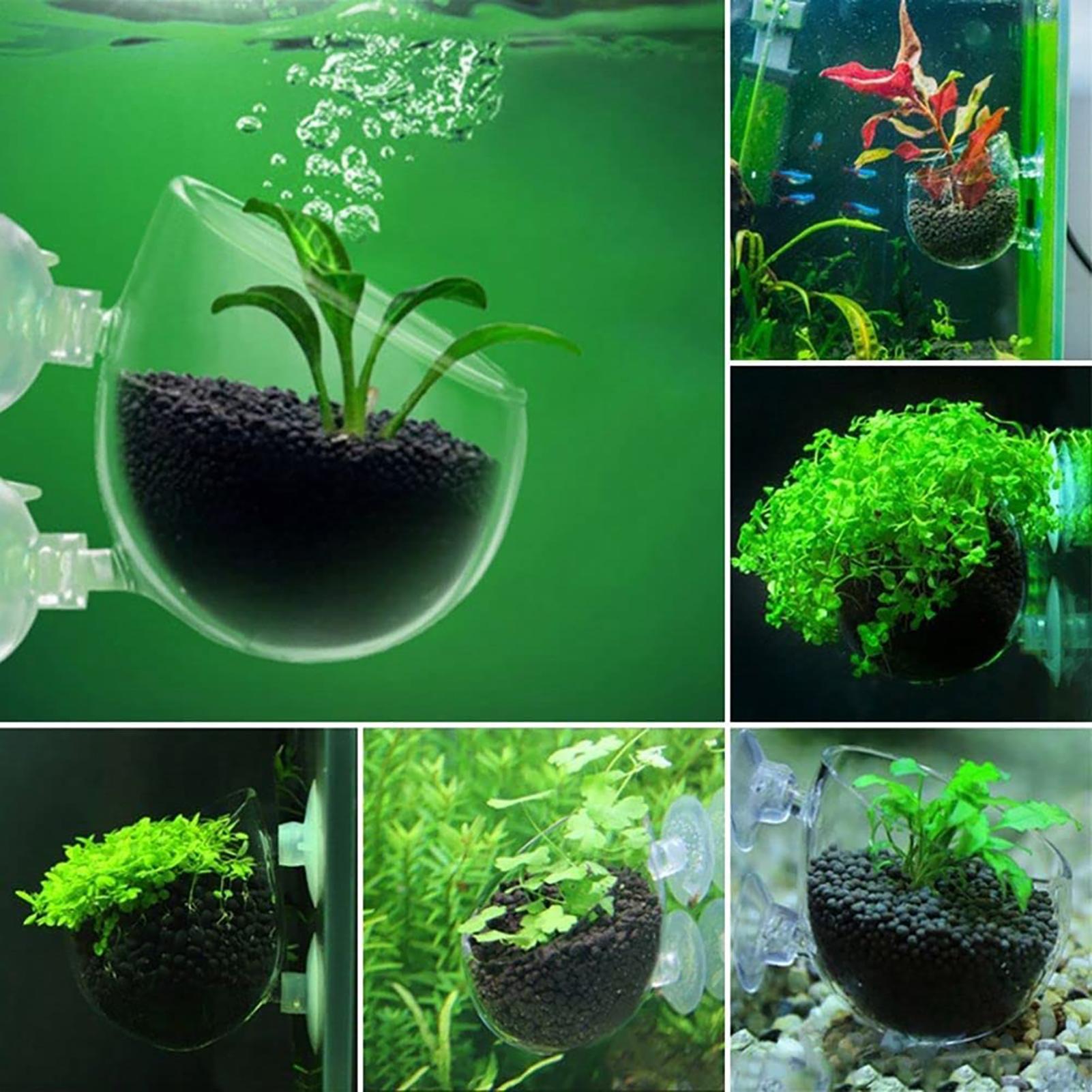 Aquarium Decoration Plant Cup  - đánh giá và giá Aquarium Plant Utensils