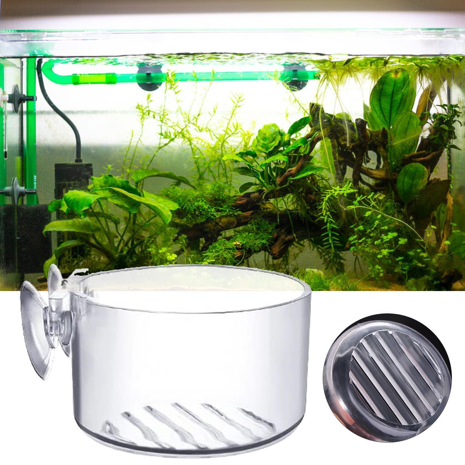 Aquarium Decoration Plant Cup  - đánh giá và giá Aquarium Plant Utensils