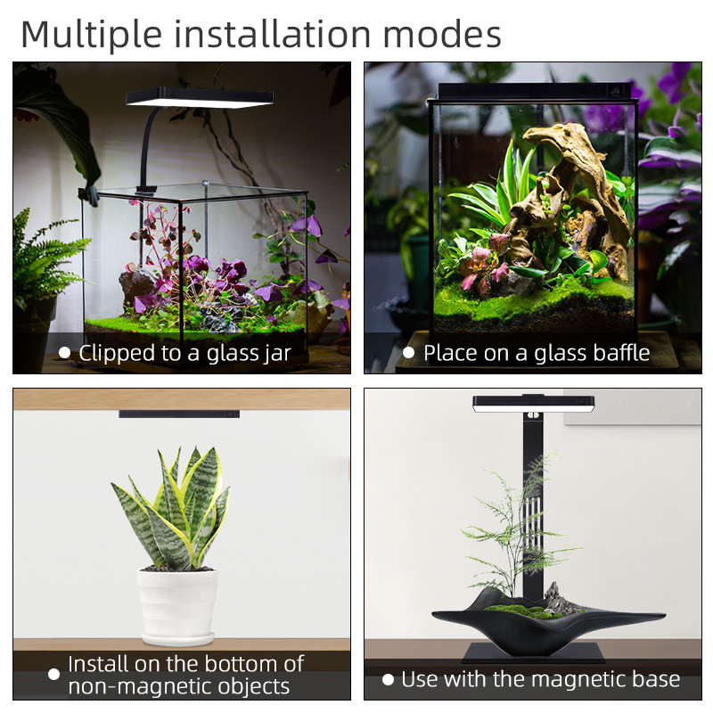 Hot Sale Mini9pro Nano Terrari - đánh giá và giá Planted Aquarium For Sale