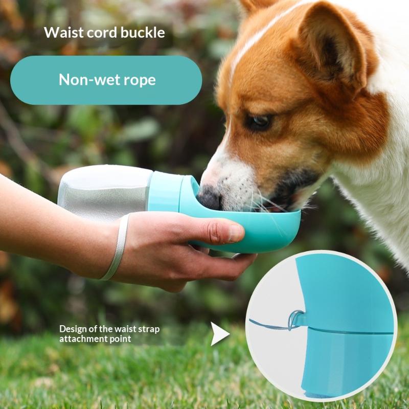 500ml Big Dog Water Bottle Por - đánh giá và giá Royal Canin Food Medium