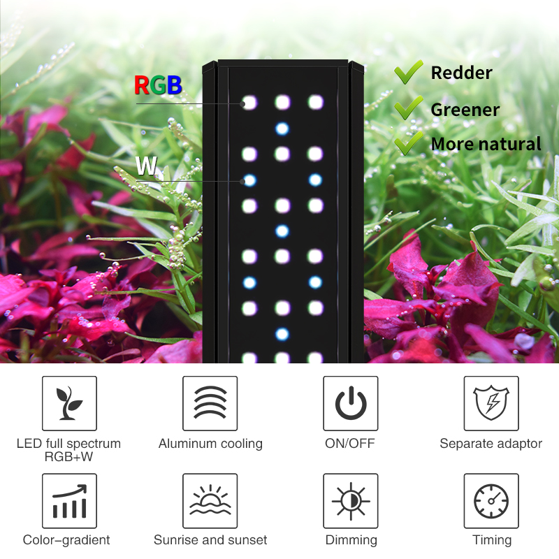 ZXY Hot Sale WEEKAQUA V400 WRG - đánh giá và giá Planted Aquarium For Sale