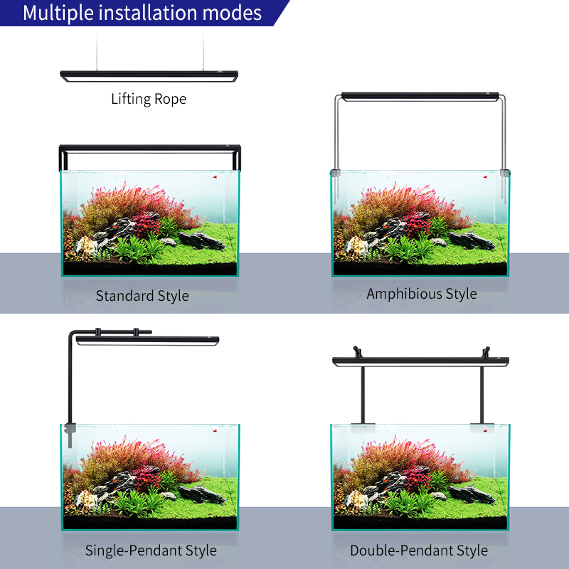 ZXY Hot Sale WEEKAQUA V400 WRG - đánh giá và giá Planted Aquarium For Sale