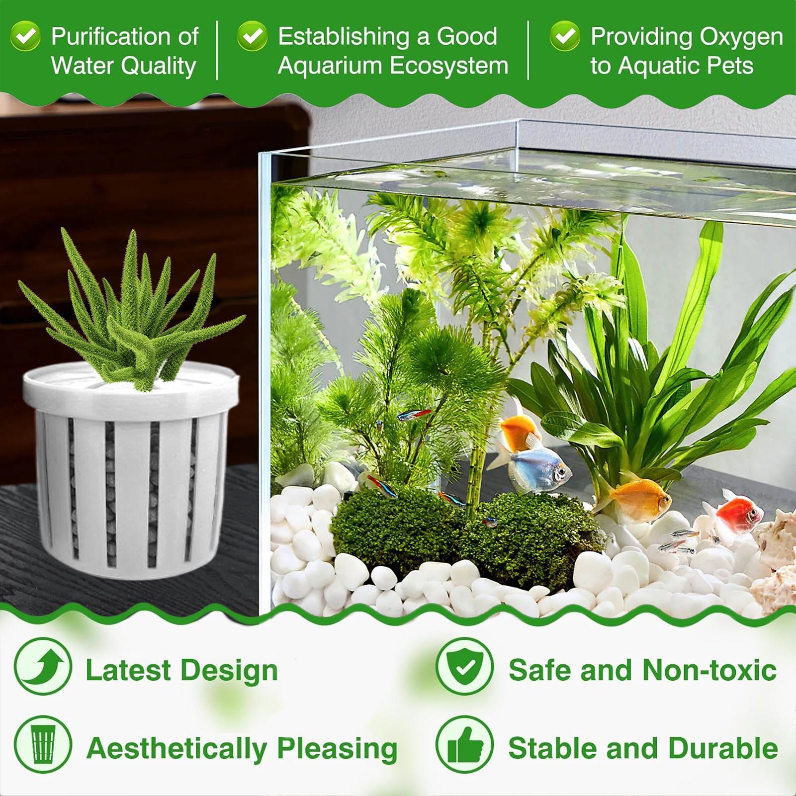 4 Pieces Aquarium Planter Pot  - đánh giá và giá Aquarium Plant Holder