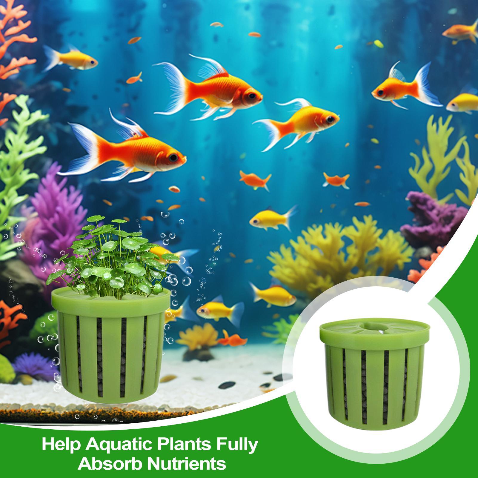 4 Pieces Aquarium Planter Pot  - đánh giá và giá Aquarium Plant Holder