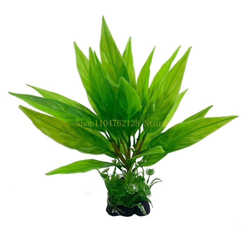 Bể Cá Thực Vật Thủy Sinh Nhựa  - đánh giá và giá Planted Aquarium For Sale