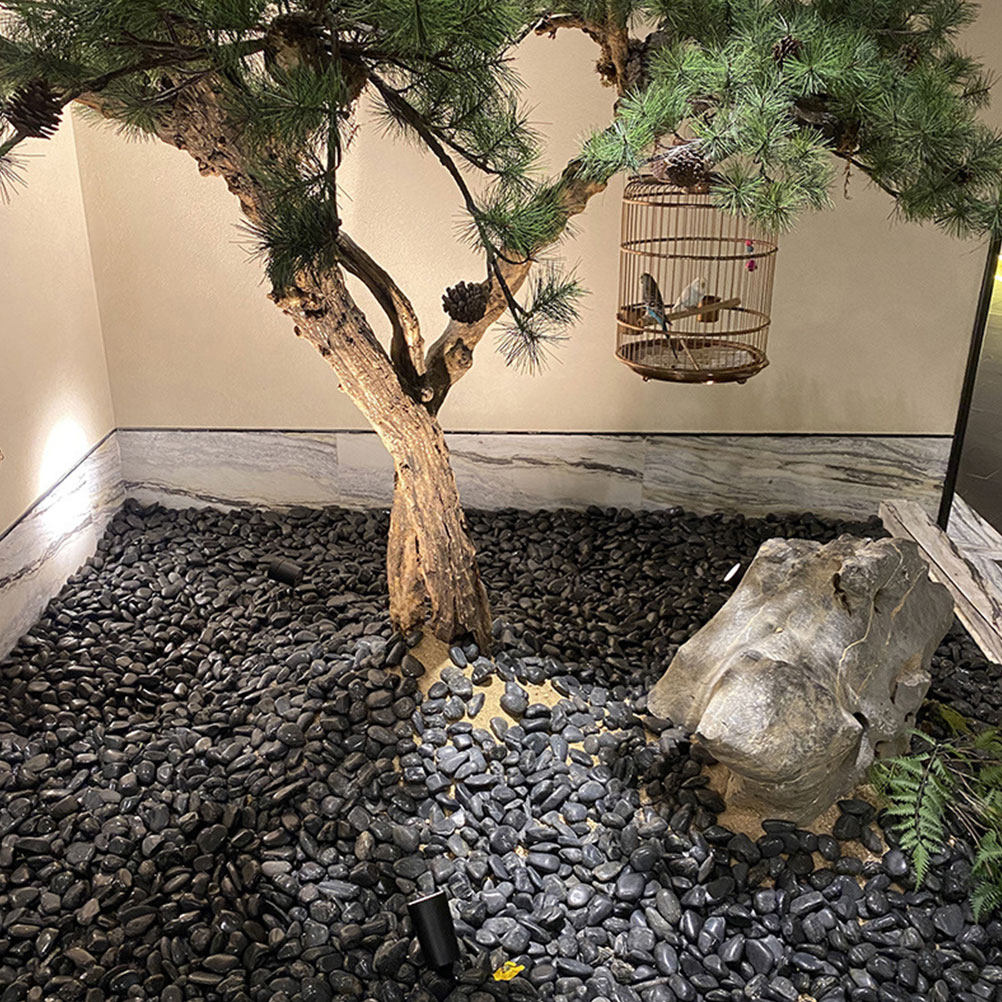 1Set Aquarium Pebbles Natural  - đánh giá và giá Aquarium Planted Fish