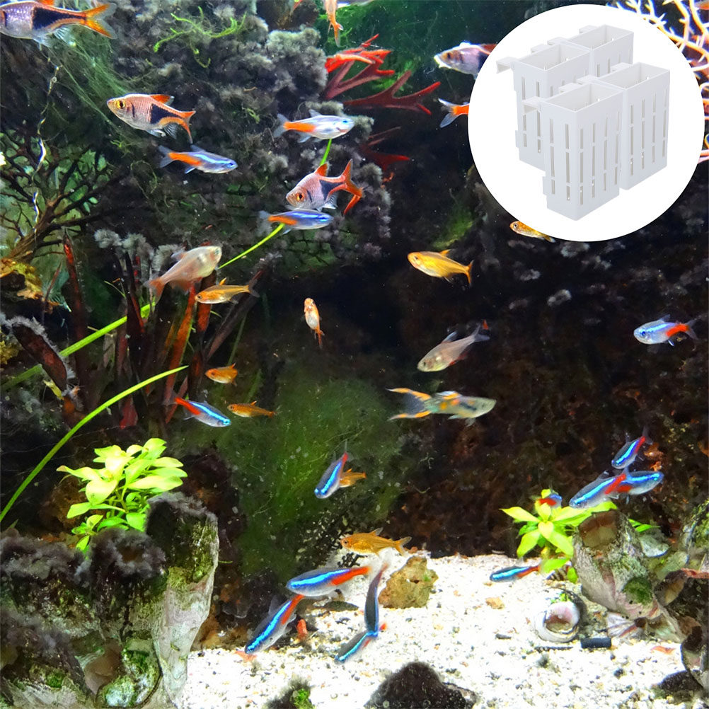 4Pcs Aquarium Plant Basket Pre - đánh giá và giá Aquarium Plant Holder