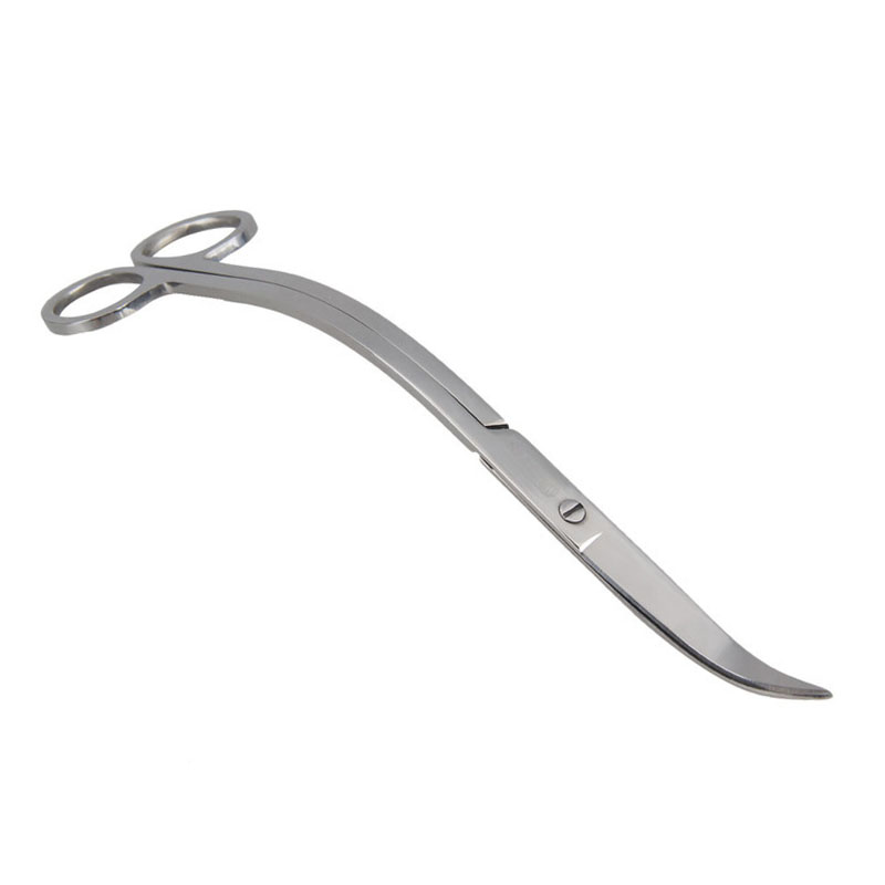 Aquarium Scissor Tools Fish Ta - đánh giá và giá Aquarium Plant Holder