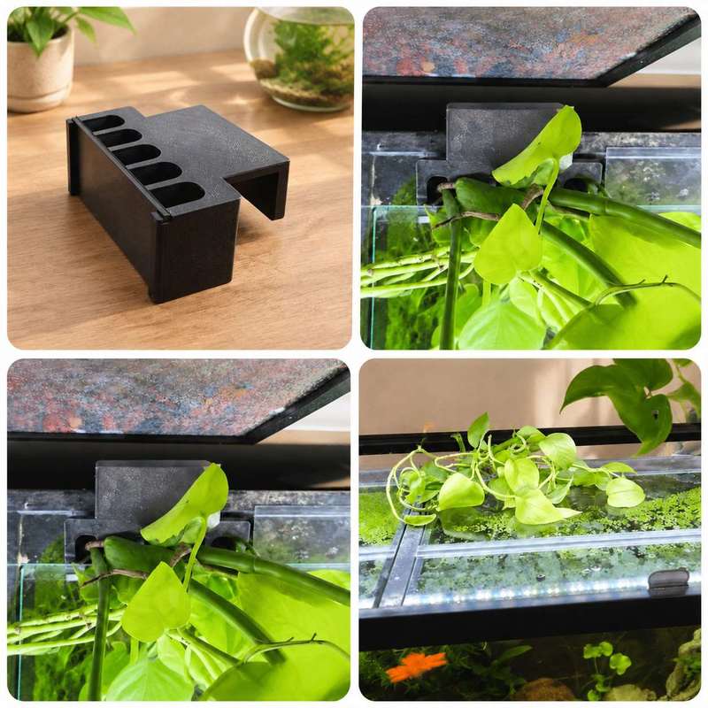 Fish Tank Side Plant Mount Bra - đánh giá và giá Aquarium Plant Holder