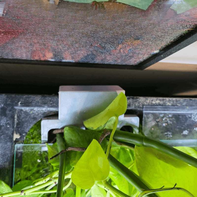 Fish Tank Side Plant Mount Bra - đánh giá và giá Aquarium Plant Holder