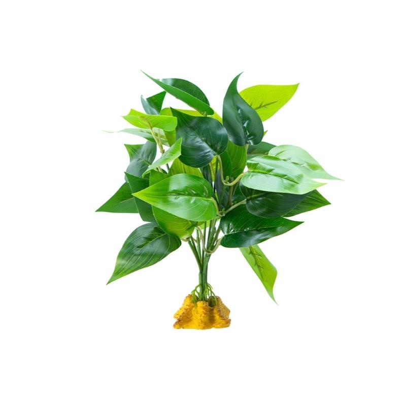 Cá nhân tạo cá trồng cá thể tr - đánh giá và giá Aquarium Planted Fish