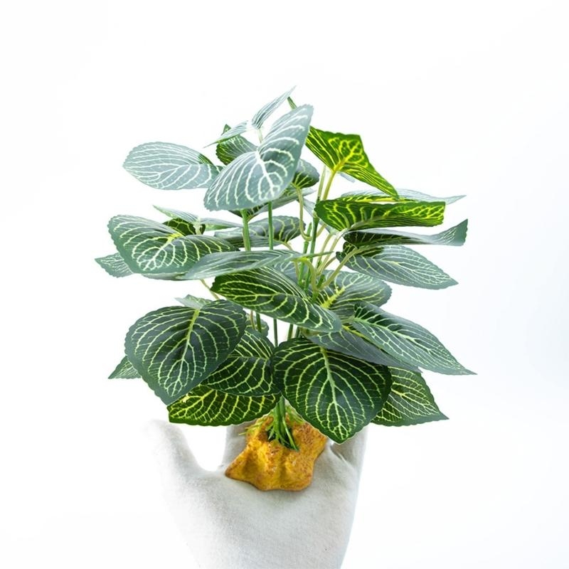 Cá nhân tạo cá trồng cá thể tr - đánh giá và giá Aquarium Planted Fish