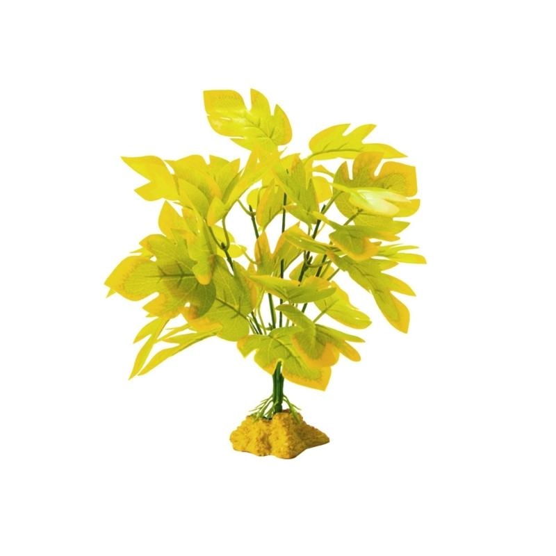 Cá nhân tạo cá trồng cá thể tr - đánh giá và giá Aquarium Planted Fish