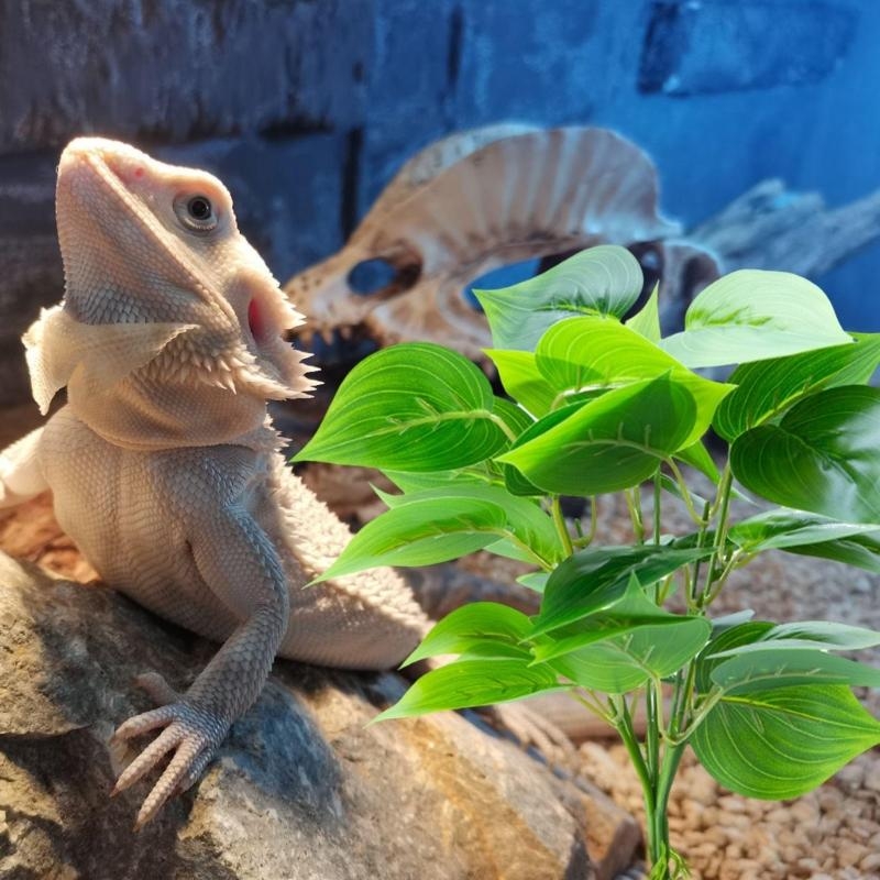 Cá nhân tạo cá trồng cá thể tr - đánh giá và giá Aquarium Planted Fish