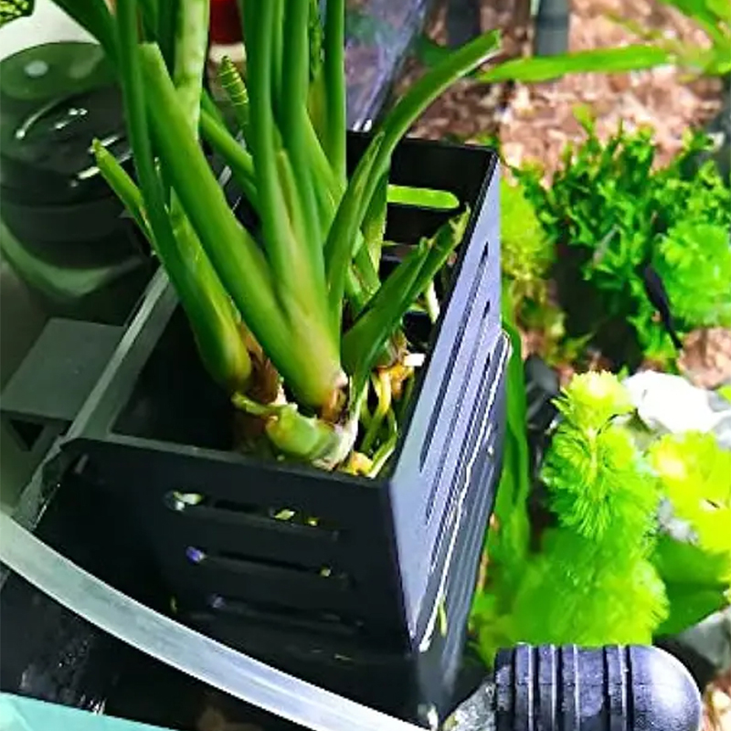 Pet Fish Tank Decorations Aqua - đánh giá và giá Aquarium Plant Holder