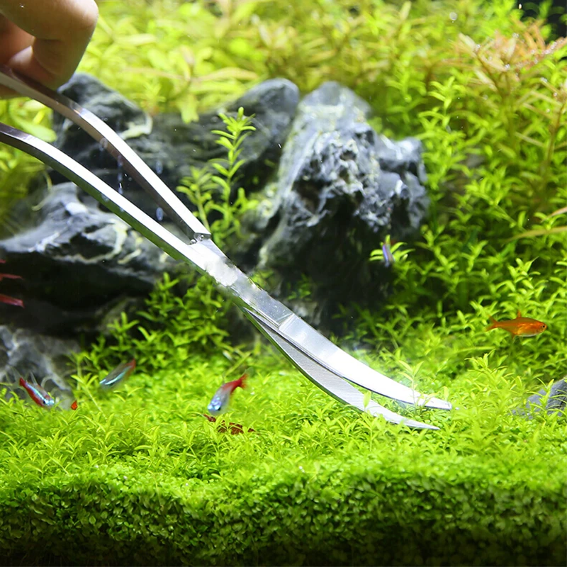 Aquarium Scissor Tools Fish Ta - đánh giá và giá Aquarium Plant Holder