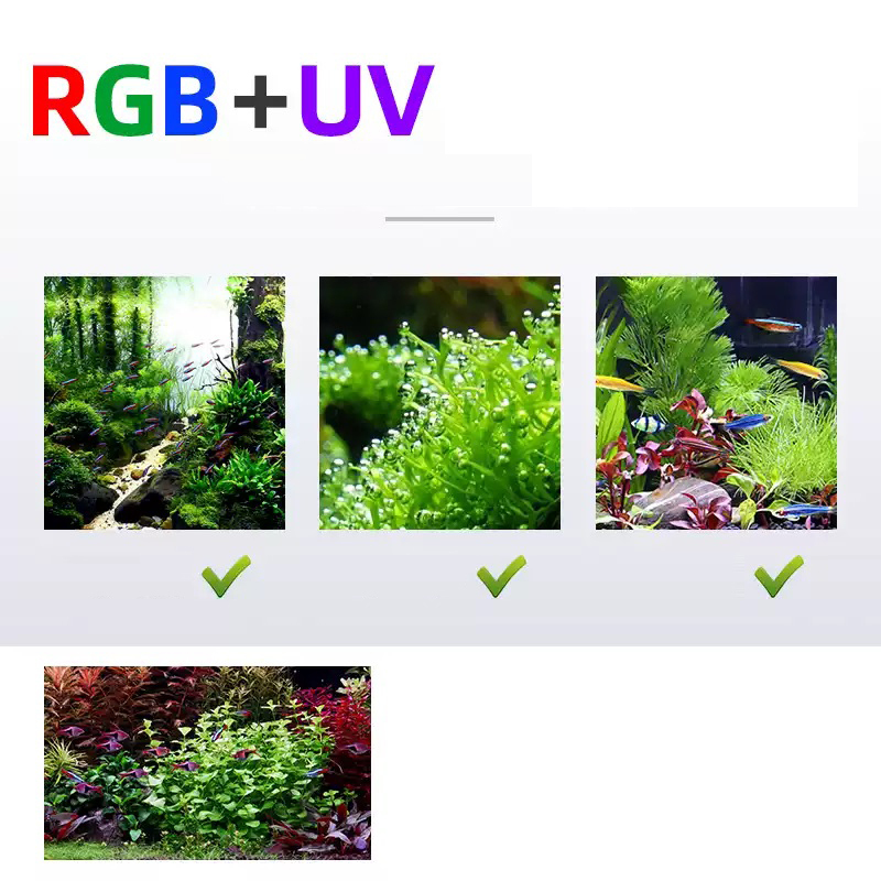 Led Lighting 60cm 80cm 90cm RG - đánh giá và giá Planted Aquarium For Sale