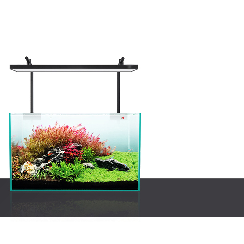 Led Lighting 60cm 80cm 90cm RG - đánh giá và giá Planted Aquarium For Sale