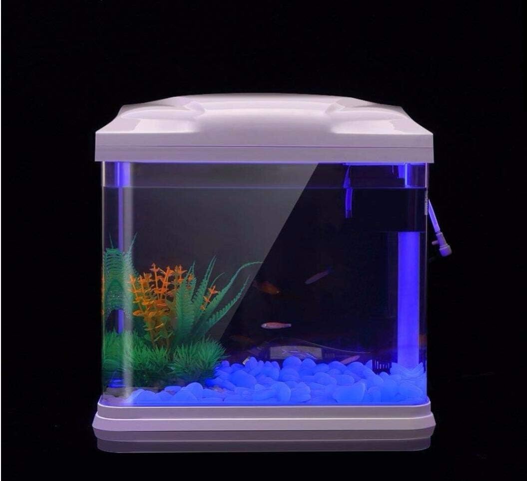 Fish Tank Rocks Glow Blue Pebb - đánh giá và giá Aquarium Planted Fish