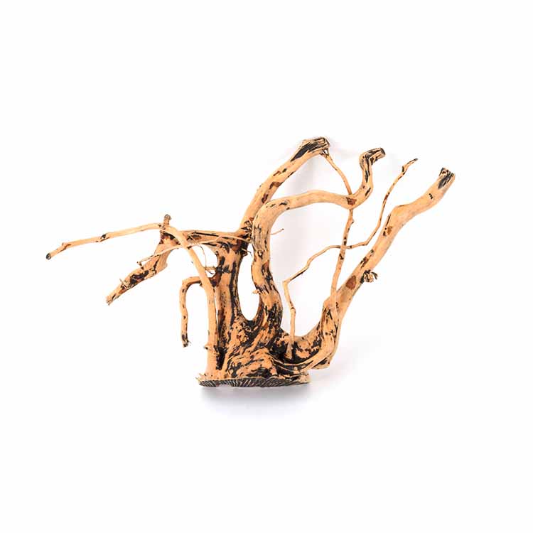 Wholesale Hot Sale Natural Dec - đánh giá và giá Planted Aquarium For Sale