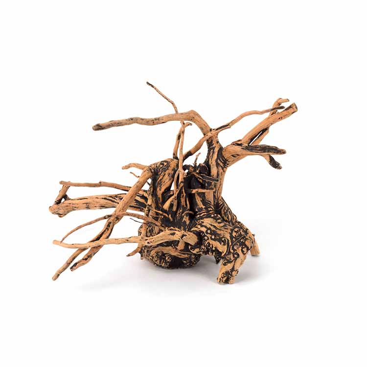 Wholesale Hot Sale Natural Dec - đánh giá và giá Planted Aquarium For Sale