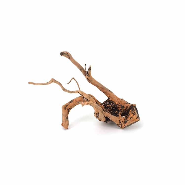 Wholesale Hot Sale Natural Dec - đánh giá và giá Planted Aquarium For Sale