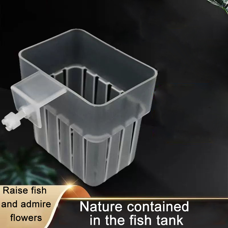 Aquarium Transparent Hydroponi - đánh giá và giá Aquarium Plant Holder