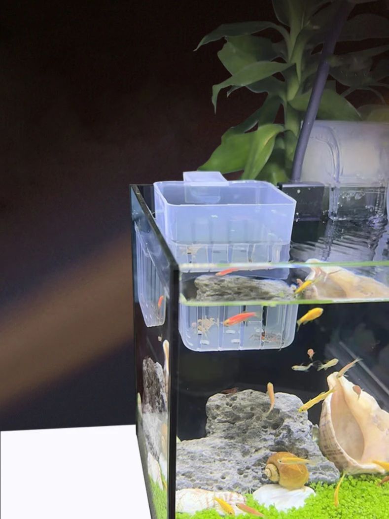 Aquarium Transparent Hydroponi - đánh giá và giá Aquarium Plant Holder