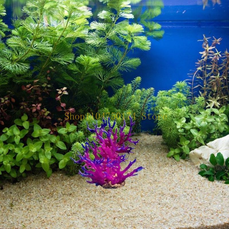 Cây nhân tạo Cây trang trí Cây - đánh giá và giá Planted Aquarium For Sale